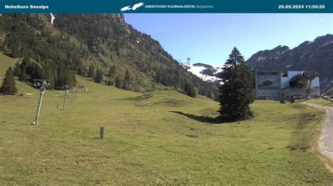 webcam nebelhorn|Webcam An der Seealpe, Nebelhorn / Oberstdorf, 1240m